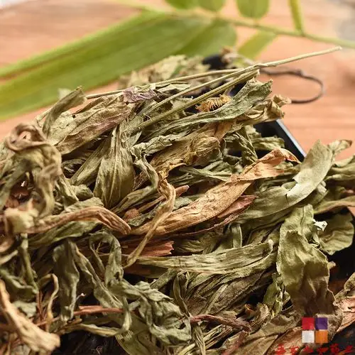 如何清除人体自由基