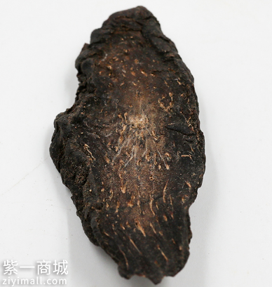 五大补肾中药配方大全 教你补肾壮阳